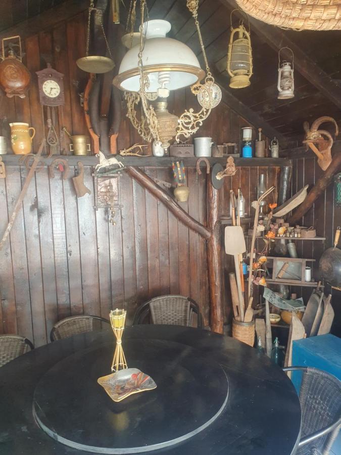 ホテル Casa Danei ブラショフ エクステリア 写真