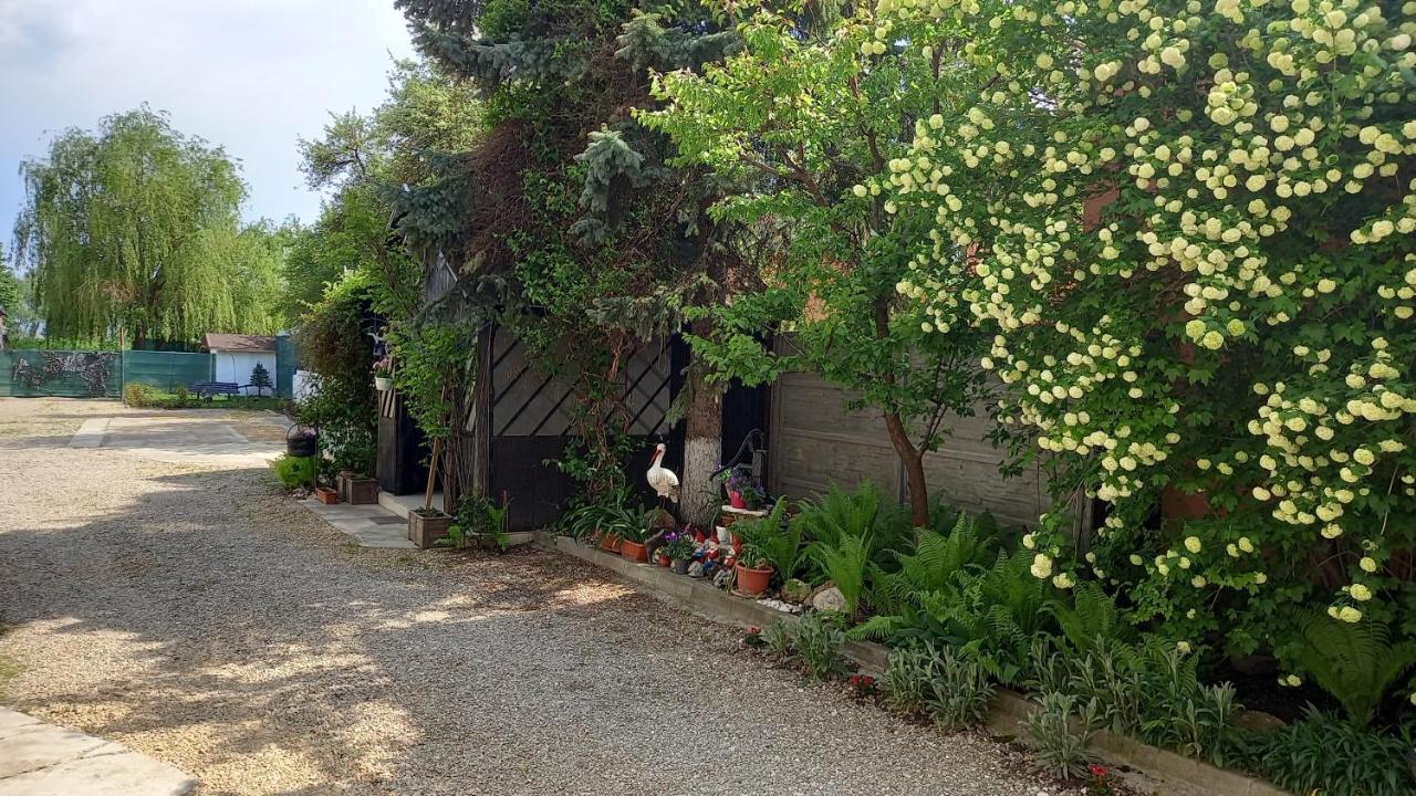 ホテル Casa Danei ブラショフ エクステリア 写真