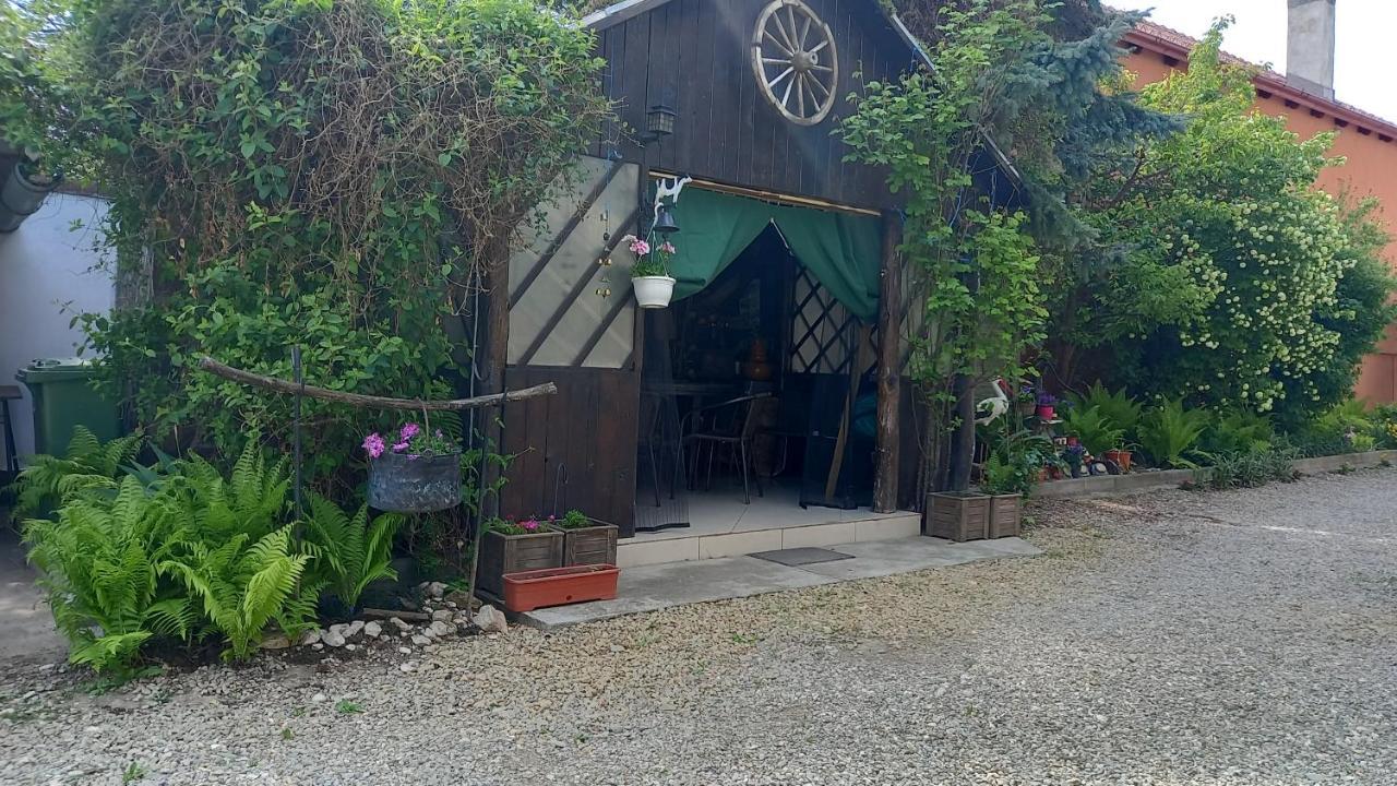 ホテル Casa Danei ブラショフ エクステリア 写真